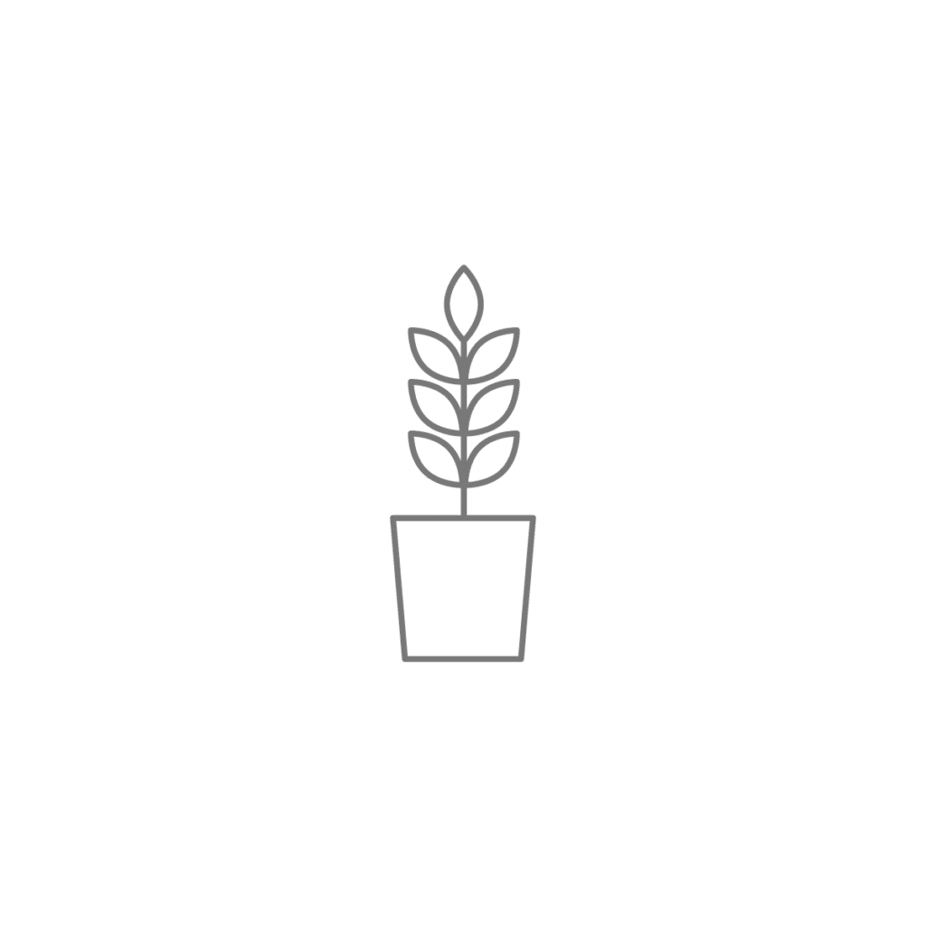 plant-large